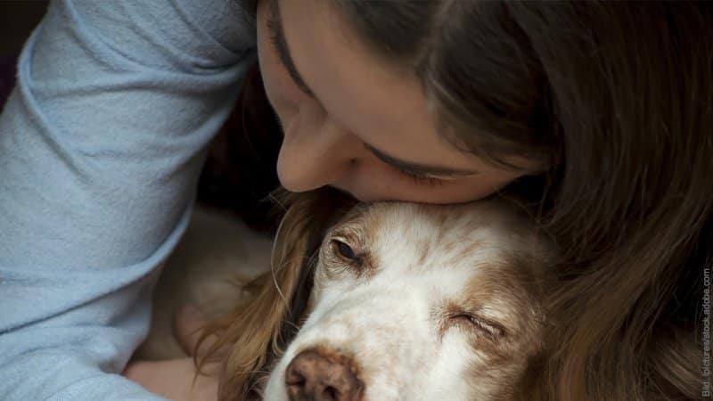 Einsamkeit - Trauerzeit nach einer Trennung. Einsame Frau sieht traurig aus und kuschelt mit ihrem Hund